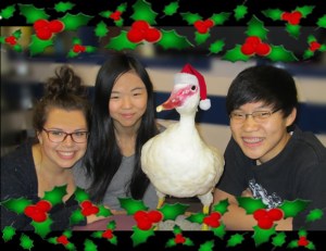 buckandfriends2013xmas